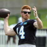 Andy Dalton