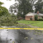 Downed Tree Power Lines