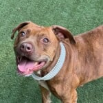 A1229459 Darla Mae