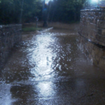 Little Sugar Creek Greenway