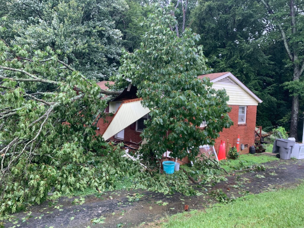 Tree On House On Bramble Dr