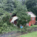 Tree On House On Bramble Dr