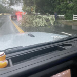 Randolph Road Tree Down