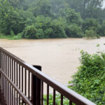 Mcalpine Creek