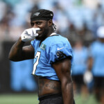 Panthers Nfl Training Camp