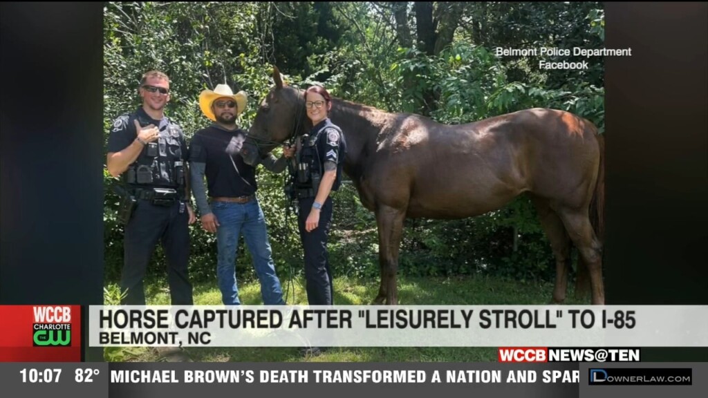 Horse Captured After “leisurely Stroll” To I 85
