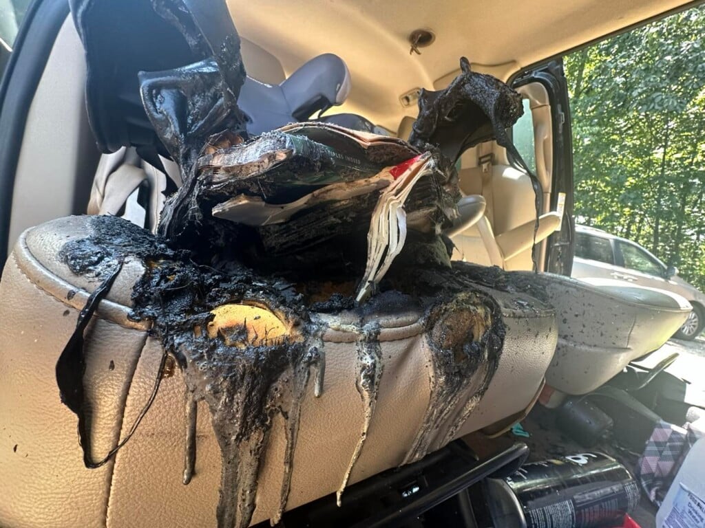 Car Seat Pic 2