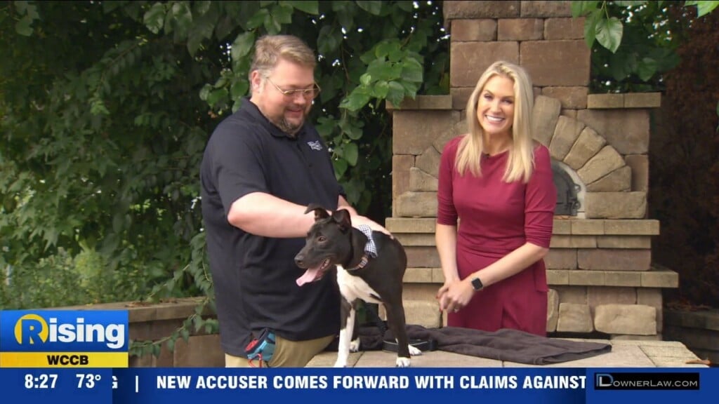 Pet Of The Week