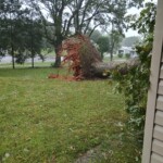 Carbon City Road In Burke County Photo Credit Kelly Davis