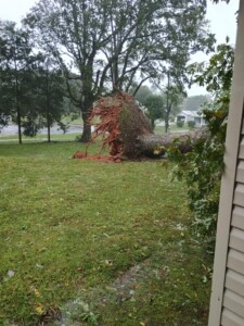 Carbon City Road In Burke County Photo Credit Kelly Davis