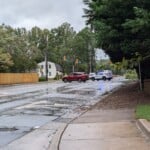 Helene Tree Monroe Rd At Lumarka Dr And Thermal Rd 20240927 135134153
