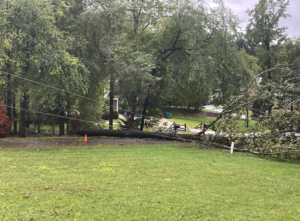 Screenshot 2024 09 27 At 124708pm