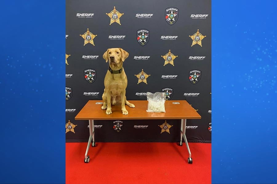 Crystal Meth Seized In Iredell County
