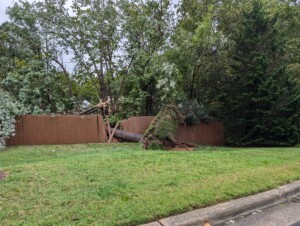 Helene Tree Down At Monroe Rd And Chasewood Dr 20240927 135154796