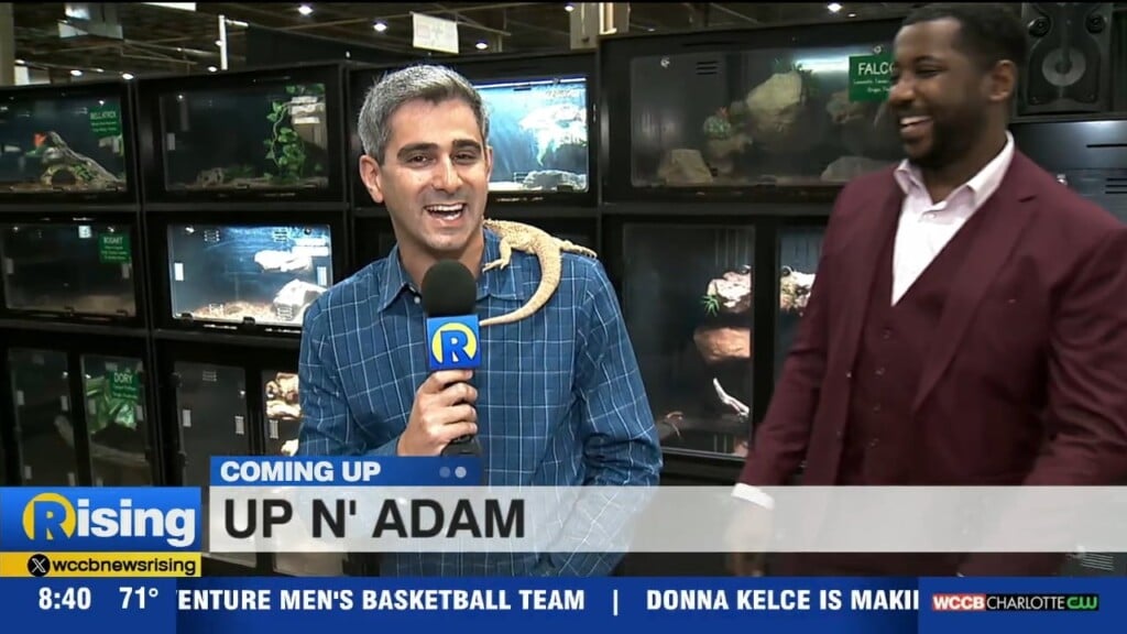 Up 'n Adam: All American Reptile And Plant Expo