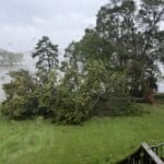 Moss Lake Shelby