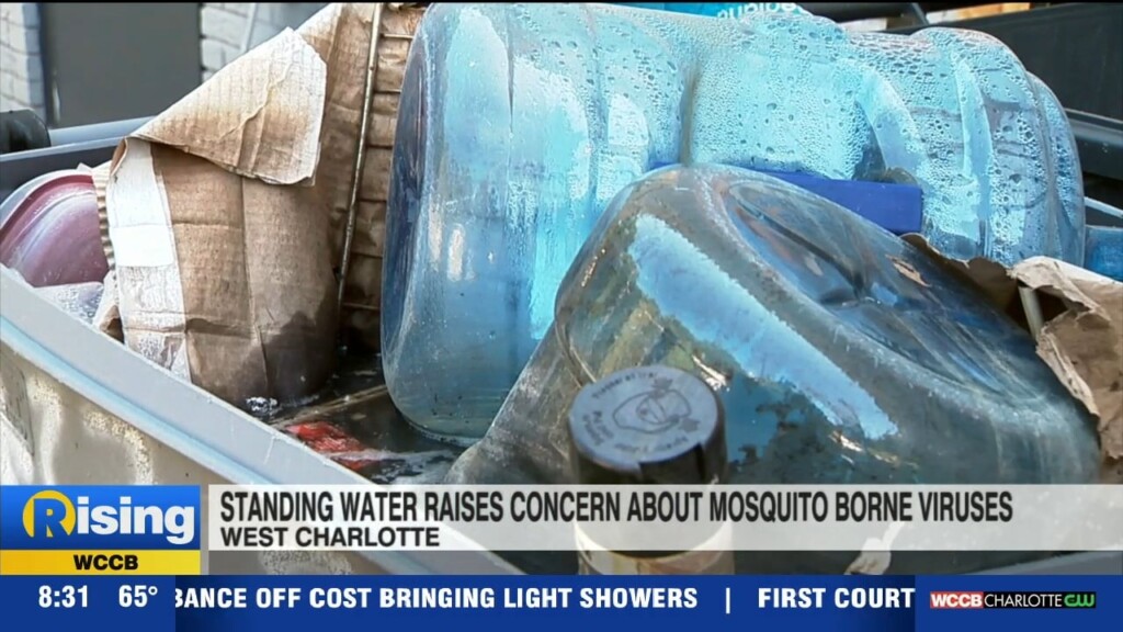 Neighbors Concerned Standing Water In Complex Could Cause Mosquito Borne Illnesses