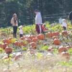 Hall Family Farm