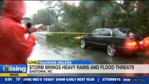 Live In Gastonia. Car Nearly Drives Into Fallen Tree