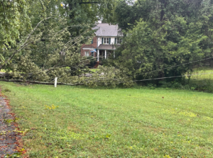 Screenshot 2024 09 27 At 124731pm