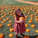 Fall Fun On The Farm