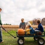 Denver Downs Farm