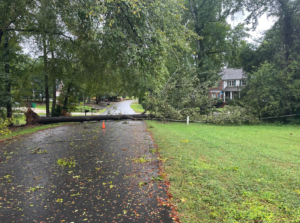 Screenshot 2024 09 27 At 124720pm