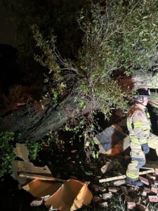 Tree Falls On House