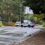 Helene Tree Monroe Rd At Lumarka Dr And Thermal Rd 20240927 135139776