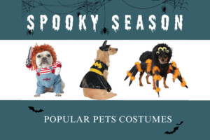 Popular Pet Costumes Feature Image 1080x720