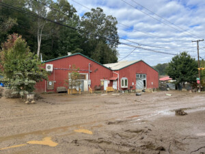 Brother Wolf Animal Rescue Destroyed By Helene Img 7130