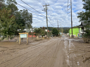Brother Wolf Animal Rescue Destroyed By Helene Img 7123