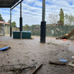 Brother Wolf Animal Rescue Destroyed By Helene Img 7136