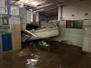 Brother Wolf Animal Rescue Destroyed By Helene Img 7151