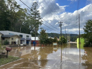 Brother Wolf Animal Rescue Destroyed By Helene Img 7041
