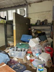 Brother Wolf Animal Rescue Destroyed By Helene Img 7139