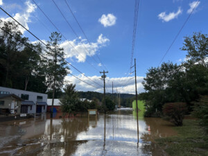 Brother Wolf Animal Rescue Destroyed By Helene Img 7063