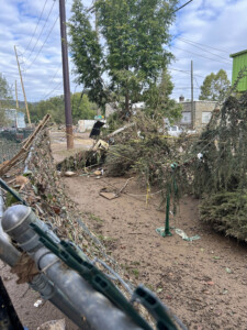 Brother Wolf Animal Rescue Destroyed By Helene Img 7135