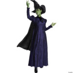 Womens Deluxe Wicked Elphaba Costume