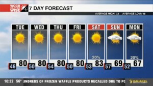 Sunshine & Warmth Continue