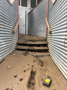 Brother Wolf Animal Rescue Destroyed By Helene Img 7160