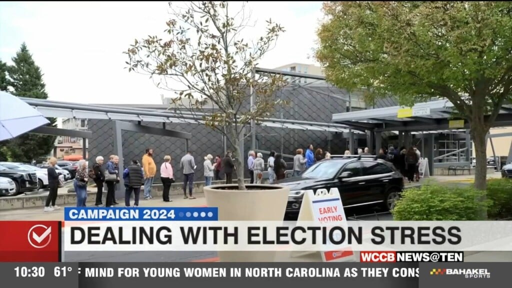 Dealing With Election Stress