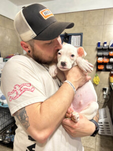 Brother Wolf Animal Rescue Destroyed By Helene Img 6998