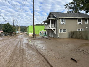 Brother Wolf Animal Rescue Destroyed By Helene Img 7124