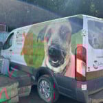 Brother Wolf Animal Rescue Destroyed By Helene Img 7276