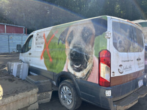 Brother Wolf Animal Rescue Destroyed By Helene Img 7276