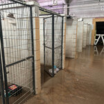Brother Wolf Animal Rescue Destroyed By Helene Img 7148