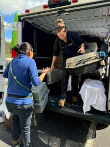 Brother Wolf Animal Rescue Destroyed By Helene Img 6320 2