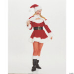 Womens Sexy Miss Santa Costume
