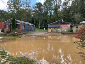 Brother Wolf Animal Rescue Destroyed By Helene Img 7050